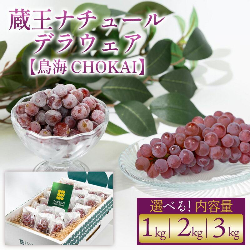 【ふるさと納税】【鳥海 CHOKAI】蔵王ナチュールデラウェア TAKUMI ORCHARD 99% ご家庭 M以上房サイズ混合 約1kg 山形 山形市 フルーツ 果物 くだもの 送料無料 ぶどう 葡萄 ブドウ 減農薬【令和8年産先行予約】FS25-121