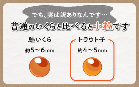【訳あり】ひめしずく 600g(200g×3) いくら醤油漬け_I028-0945