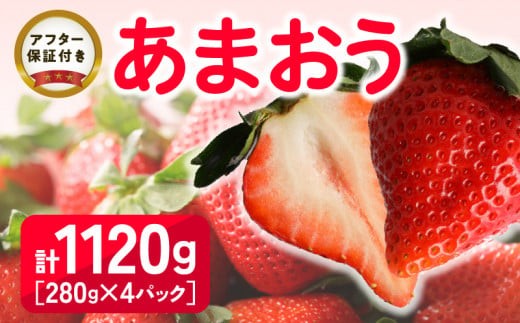 【2027年2月より順次発送】福岡県産 あまおう 1120g（280g×4パック）_福岡県産 あまおう 280g×4パック 計1120g アフター保証 ブランド いちご 王様 食べ応え 溢れ出す 果汁 魅力 果物 冷蔵 国産 お取り寄せ 久留米市 送料無料_Fi034