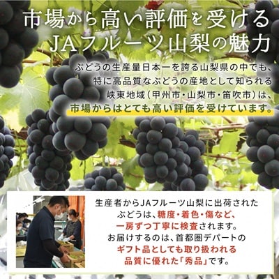 【発送月固定定期便】JAフルーツ山梨定期便 全3回【配送不可地域：離島・沖縄県】