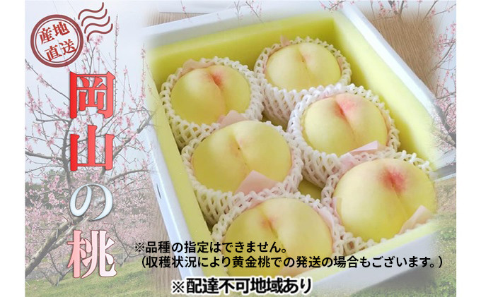岡山の桃 晩生種 約2kg（5～9玉）ご家庭用（黄金桃の場合もあります）