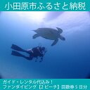 【ふるさと納税】ガイド・レンタル代込み！ファンダイビング【2ビーチ】回数券5日分【海 ダイビング レンタル ガイド ダイビングスクール ファンダイビング2ビーチ【1日 ご招待券1名様分 水着とタオルだけ 熱海 神奈川県 小田原市 】