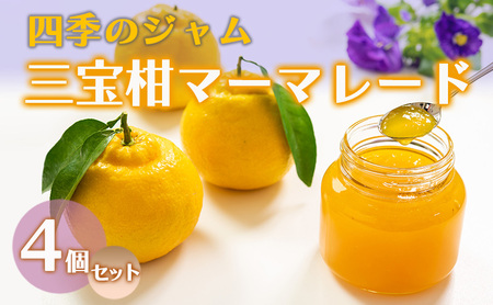 ジャム 四季 三宝柑 マーマレード 4個 セット 飯島商店 ジャム