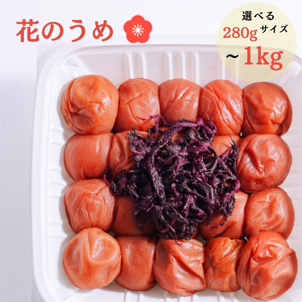 【ふるさと納税】紀州南高梅 花のうめ しそ漬け 280g～1kg | 梅干し 南高梅 ウメ うめ 紫蘇 調味料不使用