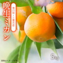 【ふるさと納税】晩生みかん　5kg、朝摘みの甘さを、そのままに。香川の晩生ミカン、5kgの太陽、香川からの新鮮な味わい、一粒で広がる、夏の記憶。三豊市産の晩生ミカン、香川の風にのせて、あなたへ。甘くて新鮮な晩生ミカン