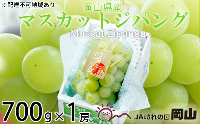 ぶどう 2025年 先行予約 マスカット ジパング 約700g×1房 ブドウ 葡萄  岡山県産 国産 フルーツ 果物 ギフト 岡山のぶどう デザート 食後 大粒 種無し 皮ごと 甘みが強い 後味さっぱり 