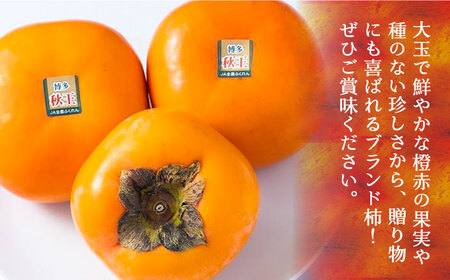 秋王 (あきおう) 柿 3kg 箱 (8-12玉)《豊前市》【南国フルーツ】柿 果物 フルーツ [VBY007]