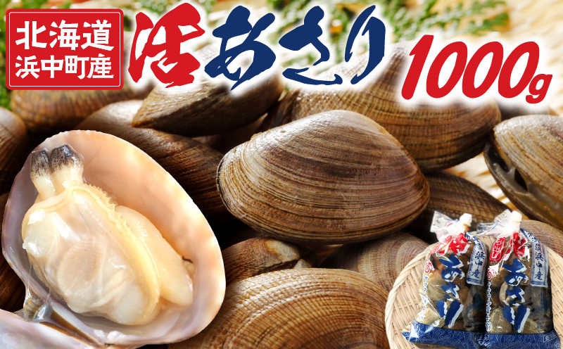 
【発送時期が選べる】《先行予約・期間限定》浜中町産活あさり(500g×2袋セット)_H0023-029
