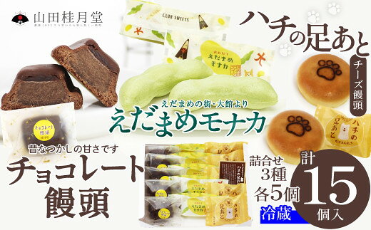 【ふるさと納税】詰合せ3種セット（ハチの足あと・えだ豆もなか・チョコレート饅頭） 各5個入り 【65P023017】【(株)山田桂月堂】