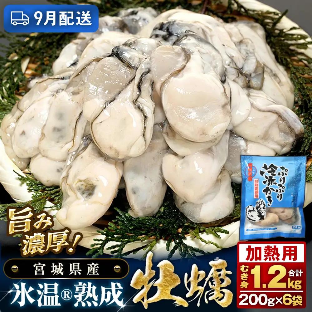 【9月配送】【加熱用】氷温熟成かき 200g × 6p むき身 小分け むき カキ 冷凍かき 加熱用 加熱 宮城 小分け 冷凍 バラバラ冷凍 冷凍カキ かき 牡蠣 海鮮 魚介 貝類 海の幸 BBQ 家庭用 まるたか水産 宮城県 石巻市