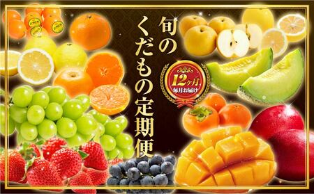 【12回】フルーツ定期便 旬のフルーツ F152