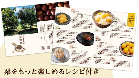 【 吉原農場 の 完熟栗 】 熟成 生むき栗 3袋・栗きんとん 1箱 セット [CX024ci]