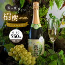 【ふるさと納税】 五ヶ瀬スパークリングワイン 樹樹 ‐JUJU‐ （ 白 ・ 甘口 ・ 発泡タイプ ） 750ml 五ヶ瀬ワイナリー　　スパークリングワイン ワイン 白ワイン ナイアガラ 国産 宮崎 五ヶ瀬町 五ヶ瀬町産ぶどう100％