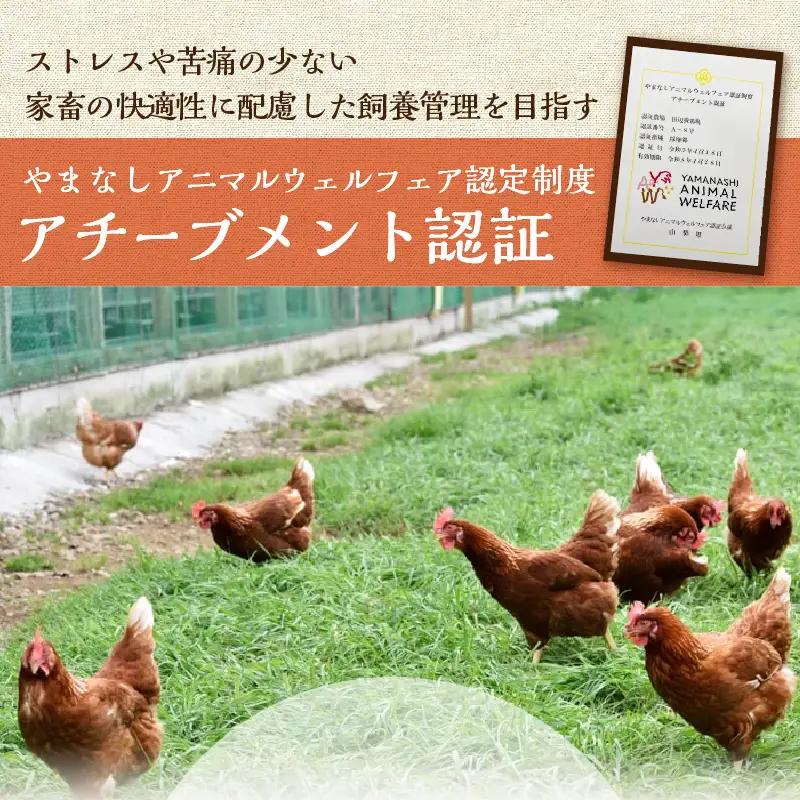 忍野の平飼い卵30個 ※割れ保証含む 卵