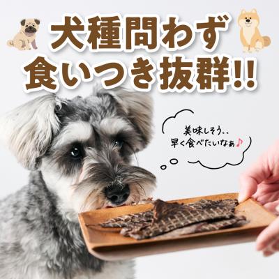 ふるさと納税 八代市 ペット用 馬刺しジャーキー100g  馬肉 ペットフード_212-6543 |  | 02