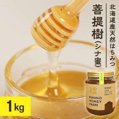 ふるさと納税 訓子府町 北海道産天然はちみつ　菩提樹　1kg