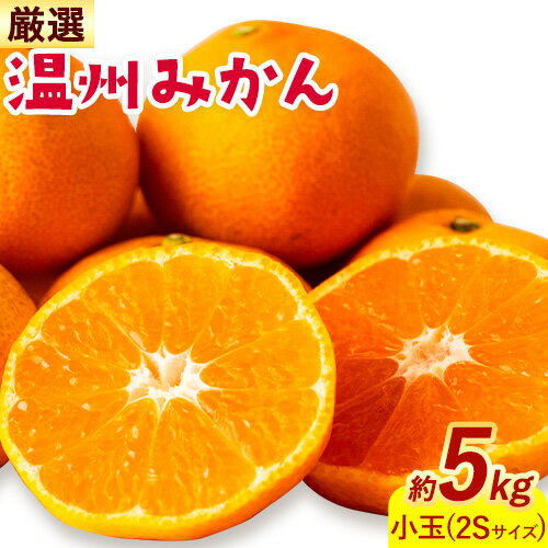 【ふるさと納税】みかん 温州みかん 厳選 5kg 小玉 2Sサイズ 小玉みかん GOGO農園《11月上旬-1月中旬頃出荷》和歌山県 日高川町 みかん 小玉 柑橘類 うんしゅうみかん みかん 柑橘 蜜柑 フルーツ 送料無料