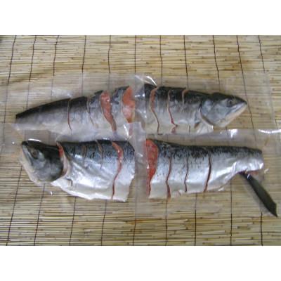 ふるさと納税 増毛町 新巻鮭　切身　約1.8kg |  | 01