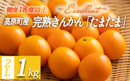 高原町産完熟きんかん『たまたまエクセレント』2Lサイズ1kg  [宮崎県産 金柑 まるかじり お菓子 甘露煮 サラダ] TF0051-P00015