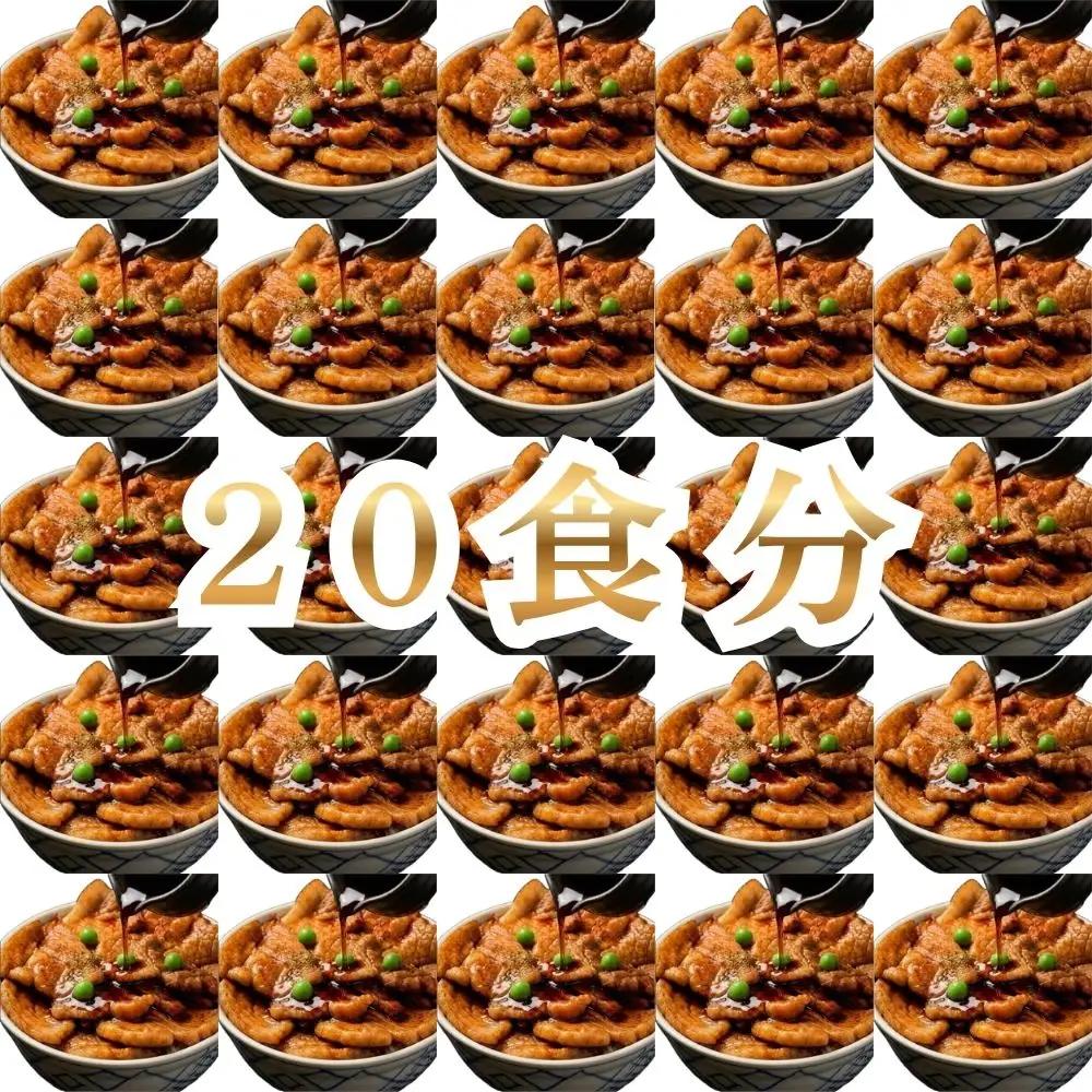 【4月配送】ホクレン 北海道のぶた丼 （2食入り）250g×10袋 北海道産 豚肉使用 産地直送 冷凍
