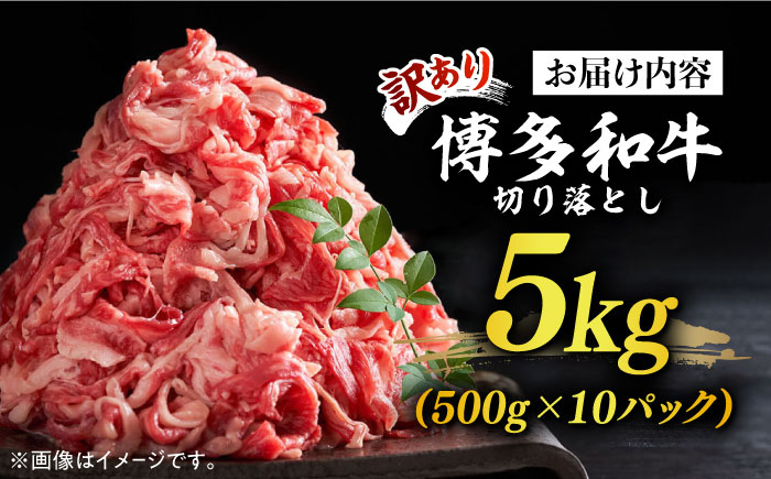 【訳あり】博多和牛 切り落とし 5kg(500g×10p）《築上町》【株式会社MEAT PLUS】 [ABBP066] 54000円  54000円 