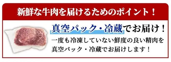 鹿児島県産 A5 黒毛和牛 贅沢 ご褒美 ヒレステーキ(計300g・150g×2枚)【KNOT】B212