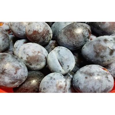 ふるさと納税 小布施町 長野県産 旬のプルーン 約2kg |  | 02