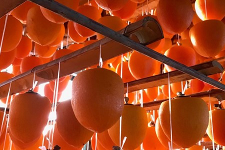 先行予約 令和7年産 ころ柿 500g 簡易包装 柿 干し柿 【12月中旬頃より順次発送】