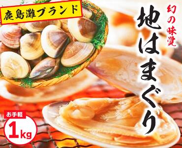 鹿島灘特産★ブランド地はまぐり（お手軽１kg） （KBL-3）