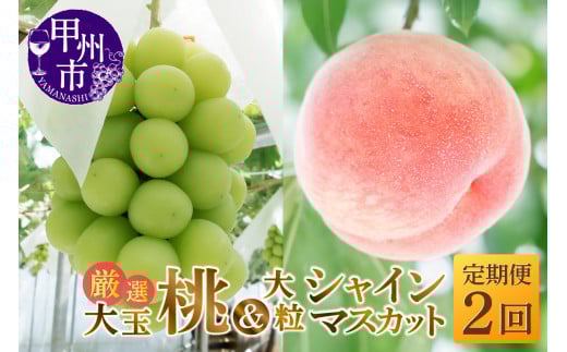 【定期便】大人気！甲州市産厳選旬の大玉桃・大粒シャインマスカット全2回定期便【2026年発送】（MG）C1-482 【桃 もも モモ シャインマスカット 葡萄 ぶどう ブドウ 令和8年発送 期間限定 山梨県産 甲州市 フルーツ 果物】