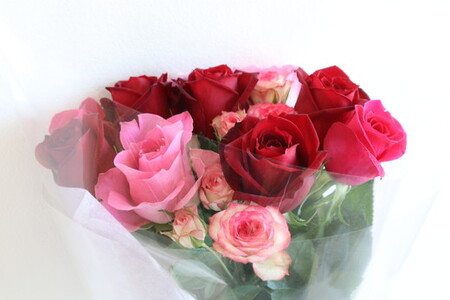 生産農家直送！バラの小さいブーケ 10本セット ※沖縄・離島への配送不可| バラ 薔薇 ばら 花束 花 ブーケ 家庭用 プチギフト 古河ブランド _AL05