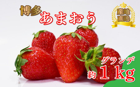 【4月まで発送】グランデ あまおう 約270ｇ×4p いちご｜いちご SBS