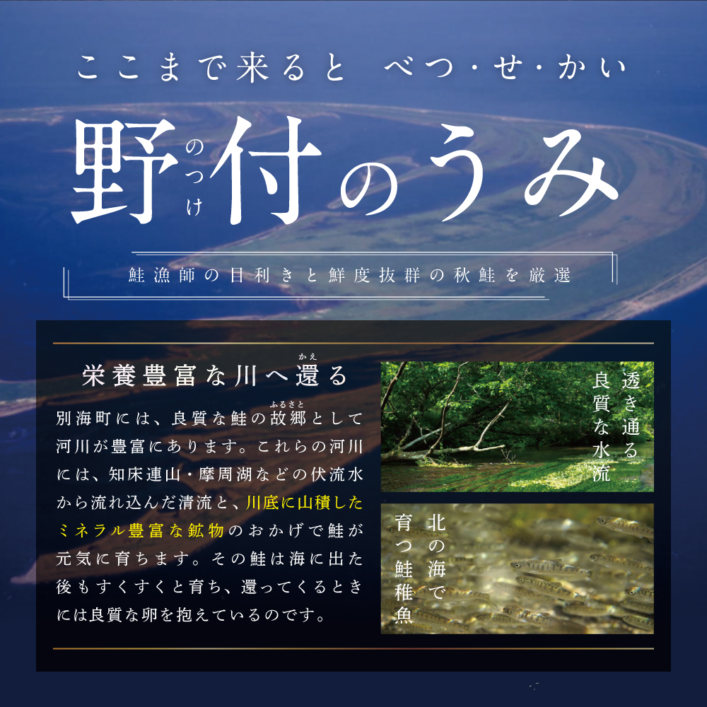 【訳あり】「秋鮭の切り身（無塩）」1.4kg【BT000MD04】（ 鮭 秋鮭 シャケ 秋シャケ 北海道産鮭 北海道産秋鮭 道産鮭 道産秋鮭 鮭切り身 鮭切身 さけ さけ切り身 さけ切身 国産鮭 国産