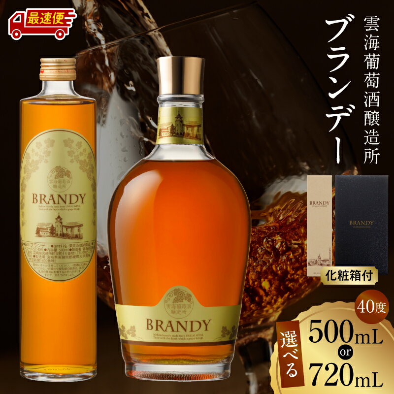 【ふるさと納税】【熨斗対応・ギフト包装】《2週間以内発送》【選べる内容量】雲海葡萄酒醸造所 ブランデー 40度 国産 国産ブランデー 酒 洋酒 お酒 アルコール 果実酒 蒸留酒 瓶 贈答用 贈り物 ギフト プレゼント 化粧箱 化粧箱入り お祝い おすすめ 人気 雲海酒造 宮崎市