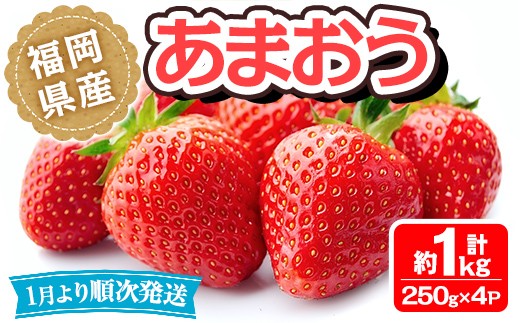 ＜先行予約受付中！2027年1月中旬～3月末に順次発送予定＞ 福岡県産 あまおう (計約1kg・250g×4P)いちご 苺 フルーツ 果物 くだもの 冷蔵 ＜離島配送不可＞【ksg1490】【エフビーネット】