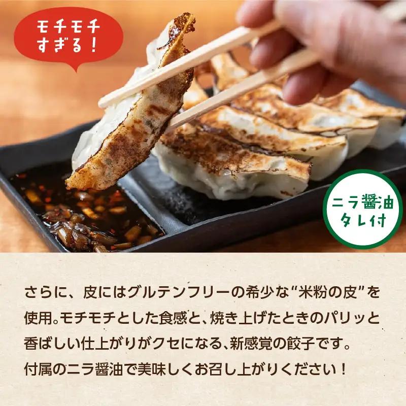 マジでうまい！モチモチすぎるニラ子の米粉ぎょうざ 大分県産豚肉・にら100%使用(ニラ醤油タレ付) 10個入り3パック A02037