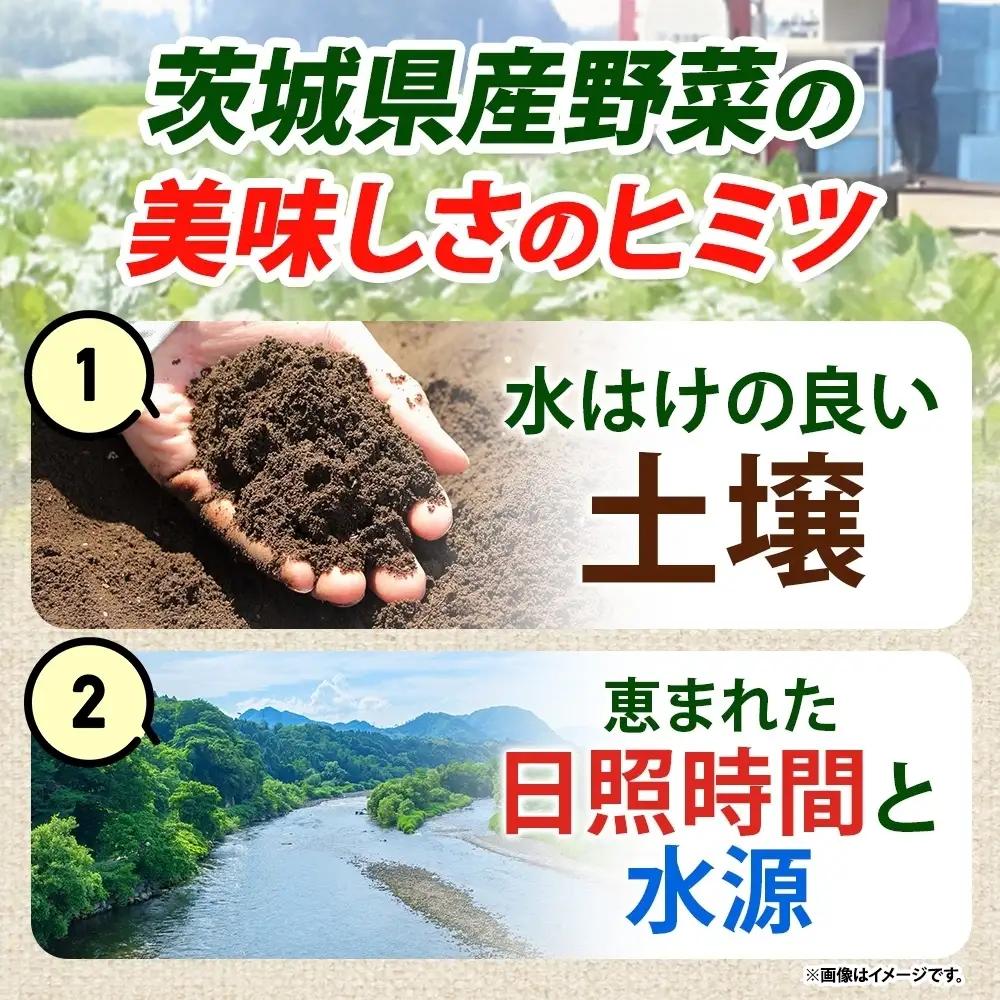 冷凍 カット さつまいも 計2.4kg (300g×8袋) 茨城県産 訳あり 水戸冷凍食品 茨城県 水戸市 （OE-3）