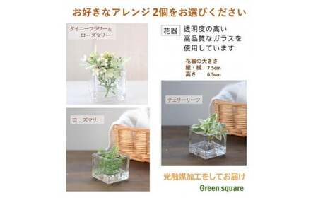 【チェリーリーフ、タイニーフラワー＆ローズマリー】 マジカルウォーター 2個セット ｢ グリーンスクエア ｣