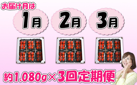 【3回届く！（1月～3月）】福津産『空飛ぶあまおう』約1,080g×3回定期便【スカイフローラファーム】[H7053]