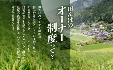 ＜令和7年10月中旬より発送！＞【6ヶ月定期】田んぼオーナーシップ6口分　清雫　玄米10kg+黒ムラサキ（丹波黒大豆の枝豆））/ ふるさと納税 田んぼ オーナー制度 米 玄米 令和7年度産 先行 定期