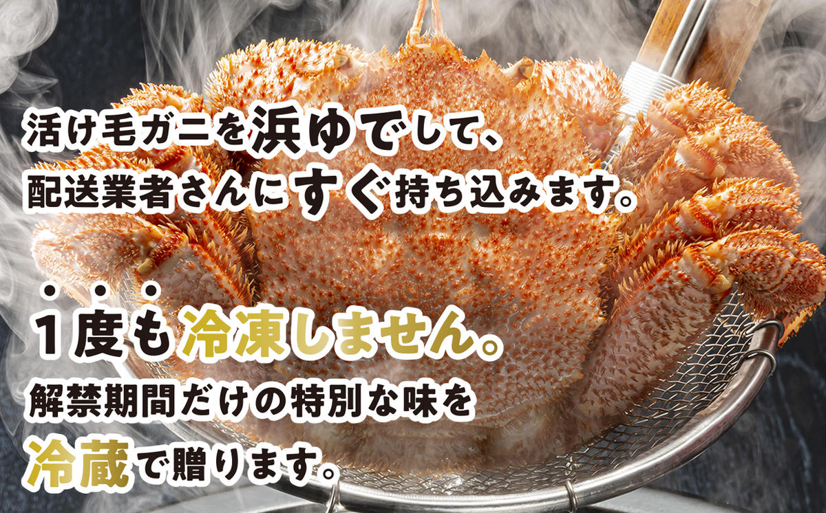 ＜2025年1月から順次発送＞ 訳あり 北海道産 浜ゆで 毛ガニ 4