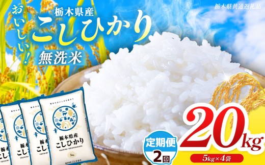 【栃木県共通返礼品】【先行予約】【令和8年度産】【定期2回】訳あり 栃木県産コシヒカリ  無洗米 5kg×4 20kg | 定期便 選べる ふるさと 納税 コシヒカリ とちぎの星 お米 精米 無洗米 ごはん ご飯 主食 日本米 kome 栃木県 共通返礼品 那珂川町 送料無料