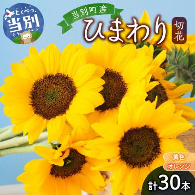 ふるさと納税 当別町 ひまわり切花30本入り(黄色、オレンジ 計30本)_tb11-021