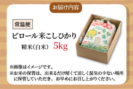 【先行予約】【令和6年産 新米】こだわりの米！弱アルカリ性のピロール米 こしひかり 白米 5kg [A-009001]