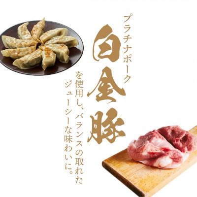 ふるさと納税 岩手県 野菜たっぷりタンメンの店 大久保の焼餃子 プラチナポーク餃子 (25g×10個)×2パック |  | 01
