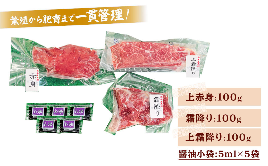 純熊本県産 馬刺しセット 馬刺し 300g