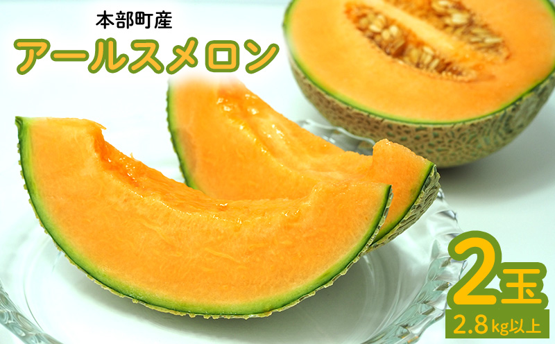 本部町産　アールスメロン（2玉）2.8kg以上 フルーツ 果物 果実 期間限定 数量限定 おすすめ おススメ 本部町 人気 沖縄産 おきなわ もとぶ 贈答 プレゼント 贈り物 スイーツ デザート 糖度