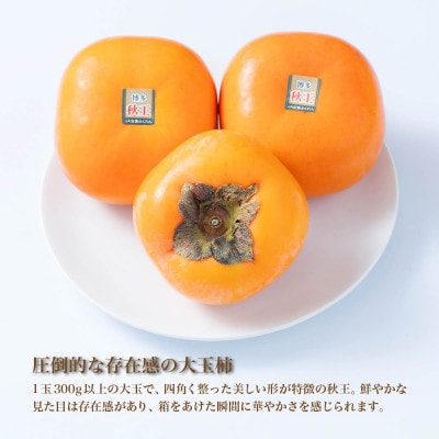 【先行受付】柿「秋王(あきおう)」3.5kg箱(8-12玉)福岡限定!ブランド(宇美町)【配送不可地域：離島】