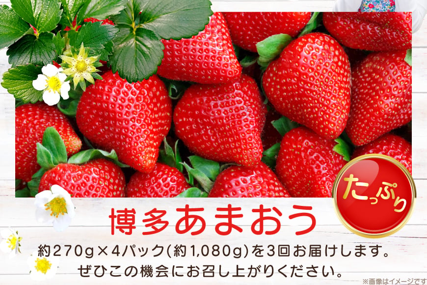【期間限定発送】 いちご 3回 定期便 福岡県産 完熟 博多 あまおう 270g 4p 総計12p [mhshops 福岡県 筑紫野市 21761227] イチゴ 苺 フルーツ 果物 くだもの 4パッ