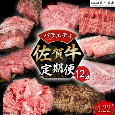 ふるさと納税 太良町 佐賀牛 バラエティ12回定期便 UB1